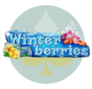 Winterberries slot logga